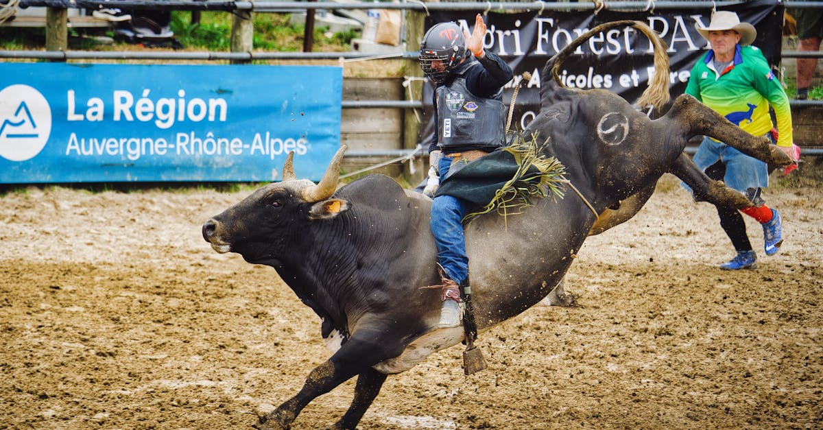 découvrez le french darts festival à caen, un événement incontournable pour les passionnés de fléchettes. compétitions, animations et convivialité au rendez-vous pour tous les amateurs de ce sport.